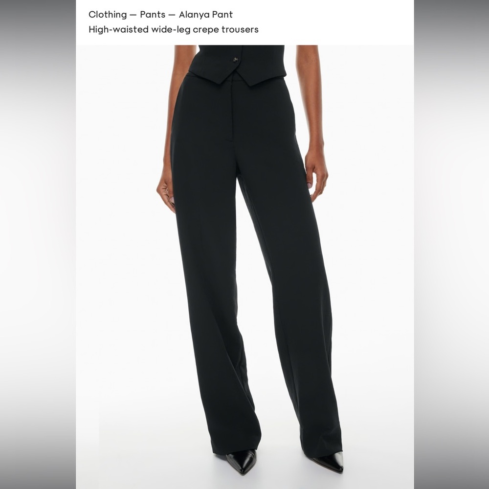 Alanya pants by Aritzia Wilfred! Size 6 in coal grey